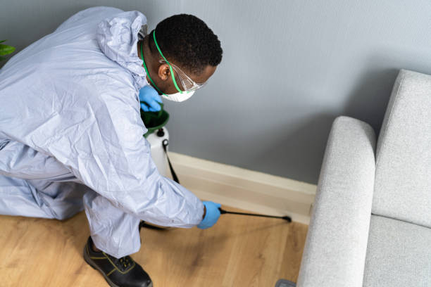 Best Real Estate Pest Inspections  in Trenton, IL